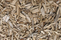 biomass boilers Chirton